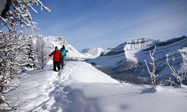 backcountry-avalanche-safety-snowshoers-940x564