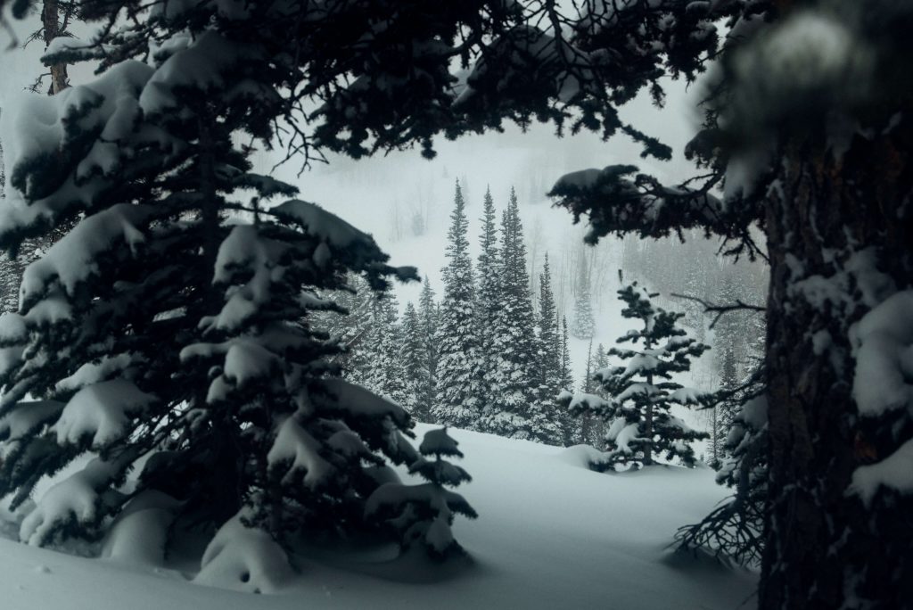 tom wallisch season edit