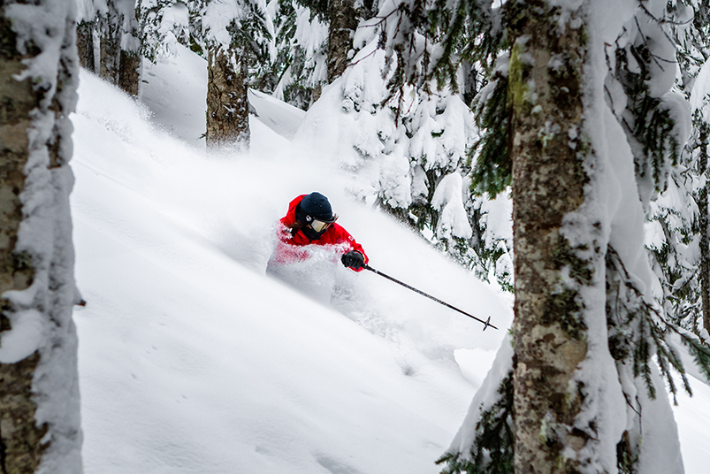 LINE Pescado Powder Skiing