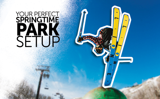Your Perfect Springtime Park Setup