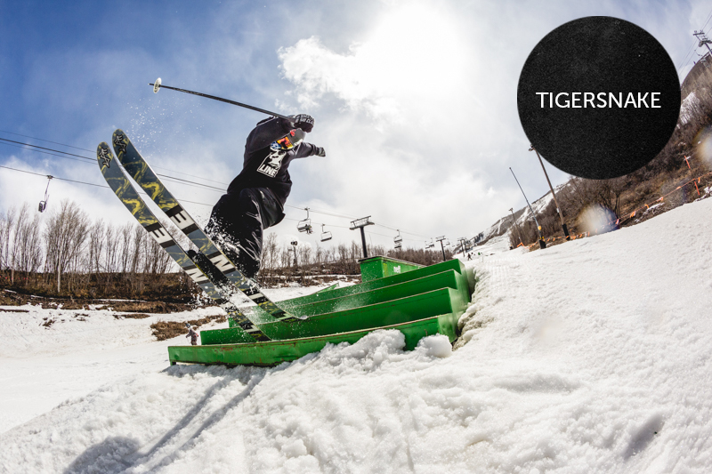 The 2016 Line Skis' Tigersnake