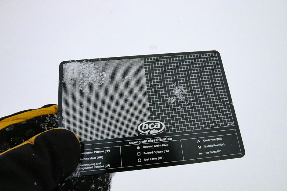 Prolink Gear Review: The BCA Snow Study Kit