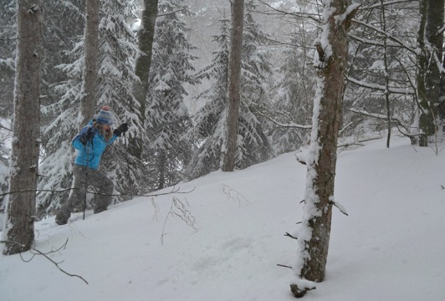 TubbsSnowshoes-Boundary-Peak-January-12-2016-Winter-Snowstorm-DSC_0699