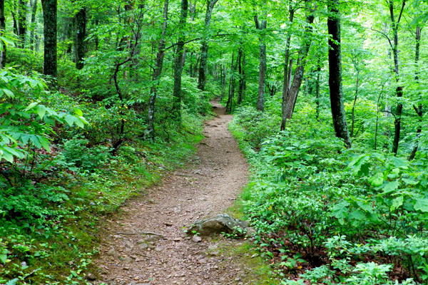 10 Best Hiking Trails in US