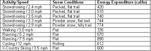 Fitness chart